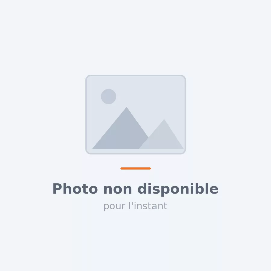 ID Swing Gate 2400 — portillon motorisé, version noire