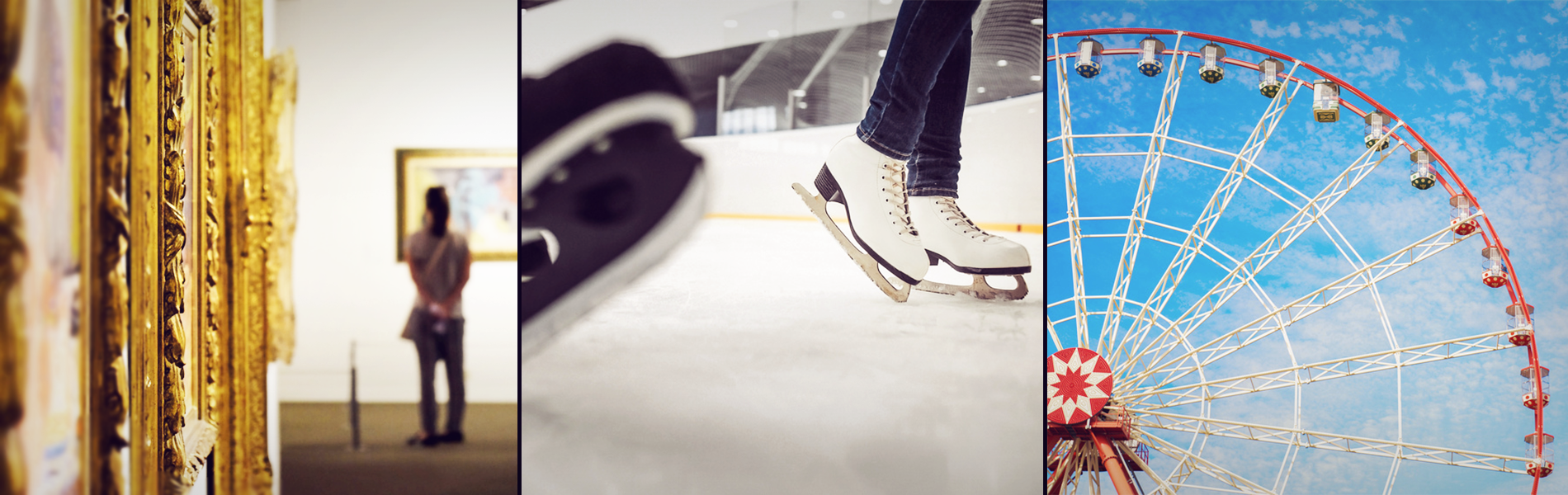 Contrôle d'accès pour les patinoires, musées, parc d'attractions, salle de concert